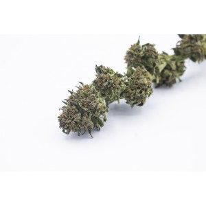Purple - CBD Weed