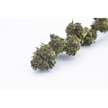 Purple - CBD Weed