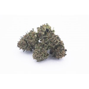 Purple - CBD Weed