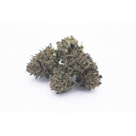Purple - CBD Weed