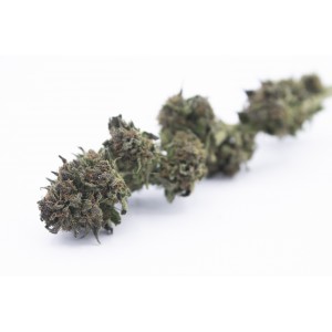 Purple - CBD Weed