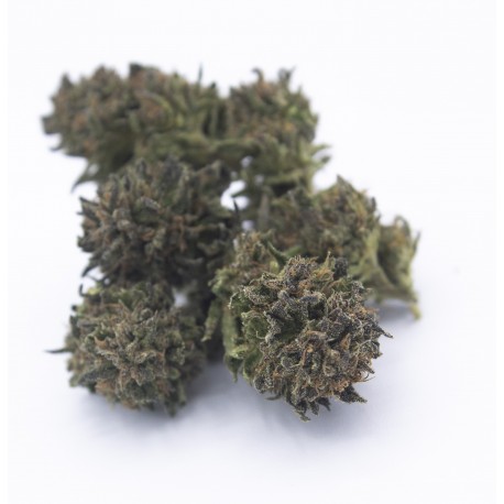 Purple - CBD Weed